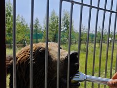 -鄂尔多斯野生动物园