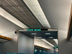 -龙阳路磁悬浮列车总站-停车场