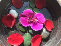 -朗豪酒店·川SPA