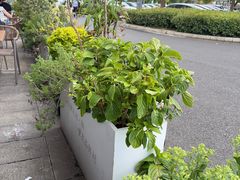 -品鲜村农家菜·阳澄湖大闸蟹(总店)