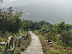 -梧桐山风景名胜区
