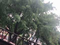 -六月雪干锅(绵阳王府井百货店)