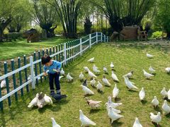 -南通洲际绿博园