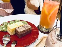 -滚猫咖啡·猫咖·猫友好撸猫(未来城店)