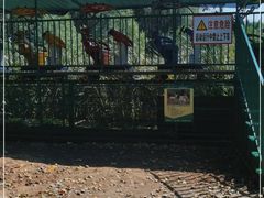 -长白岛森林公园