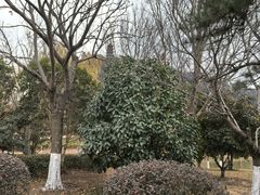 -狼山风景名胜区