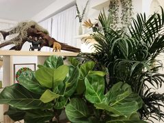 -甲乙果 美术书法(通州校区)