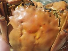 -海玥荟海鲜姿造自助餐厅(欧罗巴广场店)