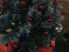 -bluefrog蓝蛙(水游城店)