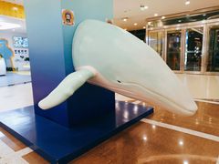 -保利MALL(天鹅湖店)