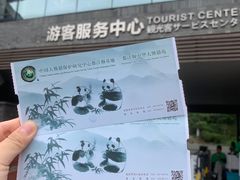 -都江堰中华大熊猫苑