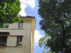 -柴犬高等学院·狗咖·柴犬售卖·宠物训练