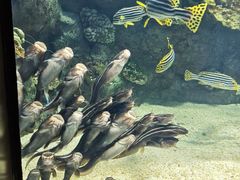 -福州罗源湾海洋世界旅游区