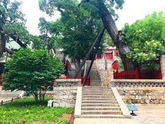 -晋祠公园
