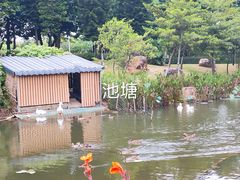 -映月湖公园