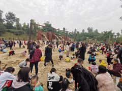 -枫香湖儿童公园