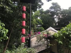 -深圳野生动物园