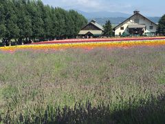 -富田农场