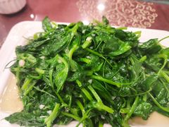 -糊涂兔毛毛菜(八里庄店)