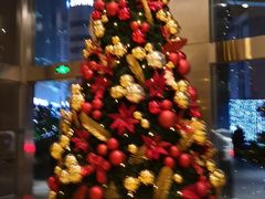 -上海锦江汤臣洲际大酒店壹阶层