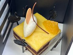 -BLACKSWAN黑天鹅(环球店)