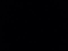 -巴辣仔烤鱼鸡煲(上水店)