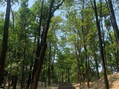 -火炉山森林公园