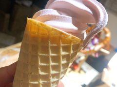 -风车面包