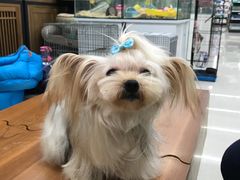 -米卢宠物公园(广华居店)