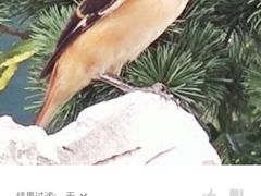 -杭州萧山国际机场