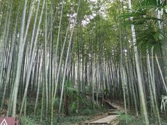 -南山风景名胜区