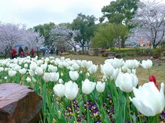 -苏州上方山国家森林公园