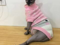 -李小姐の猫咖啡馆(五角场店)
