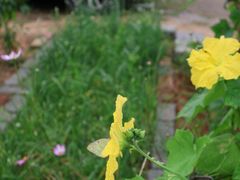 -东戴河风景区-止锚湾