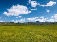 -祁连山草原