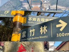 -东极岛景区