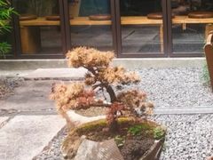 -元古雲境(太古里店)