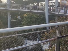 -狐尾山公园