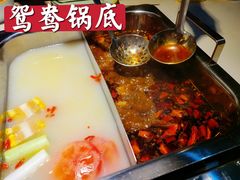 -渝蛙先生领鲜美蛙老火锅