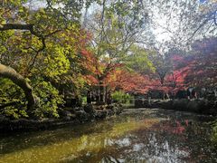 -秋霞圃