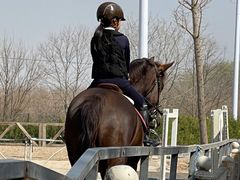 -北京群众马术培训基地