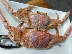-星奇缘·海鲜餐厅(东山美食地标店)