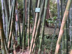 -成都杜甫草堂博物馆