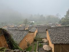 -杨家堂村