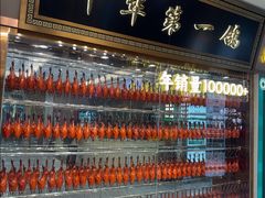 -朱记乳鸽王·非遗石岐乳鸽·全鸽宴(大兴旗舰店)