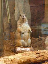 -Zoolung Zoolung动物主题公园(海信广场店)