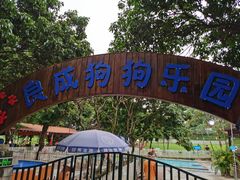 -良成狗狗乐园