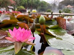 -广州莲花山旅游区