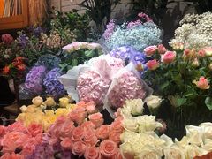 -爱尚幸福鲜花(上地实体店)