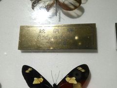 -上海昆虫博物馆